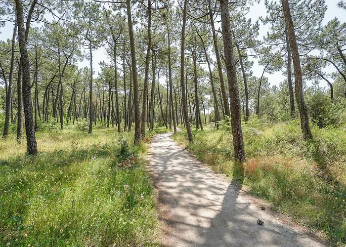 In Prázdninový dům *